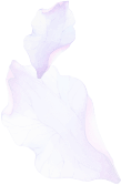 Flower petal